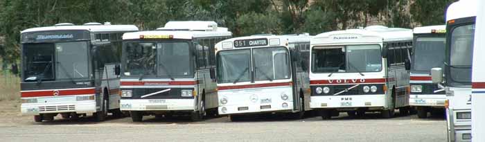 Panorama Coaches Mercedes & Volvos